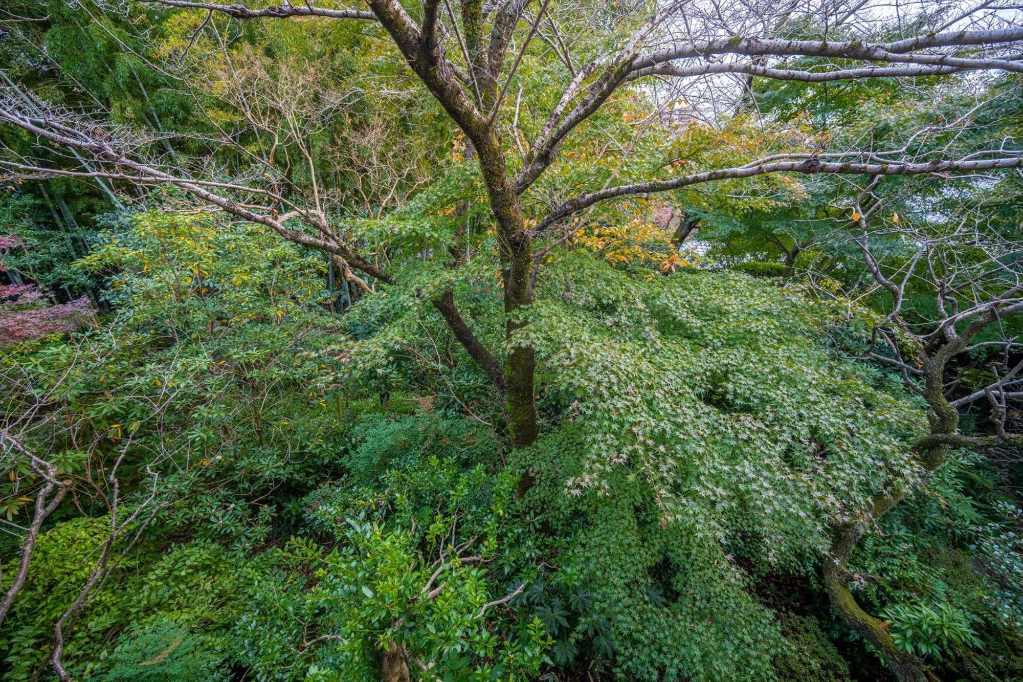 Jinya Ryokan Hadano Екстериор снимка